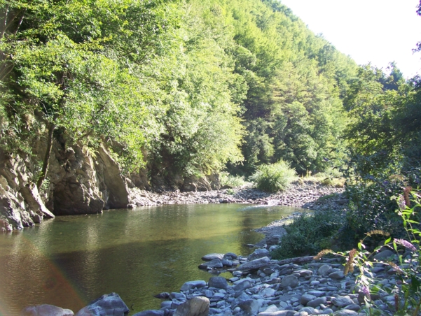  Image name: Fiume41.jpg 
 width: 601 pixel 
 height: 452 pixel 
 Size: 326189 bytes 
 Click to enlarge 